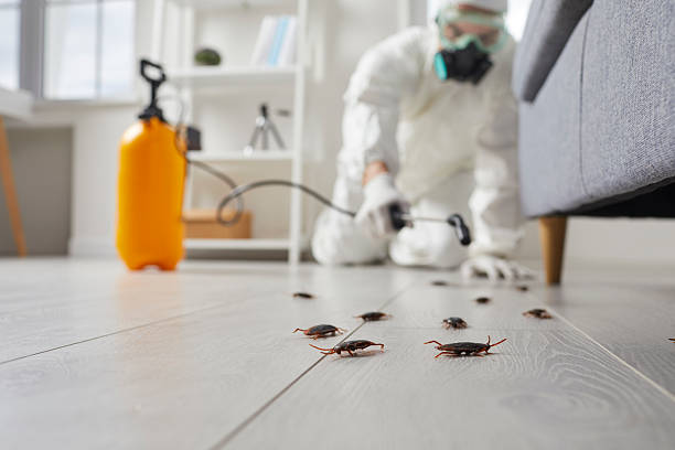 Commercial Kitchen Cockroach Control in Park City